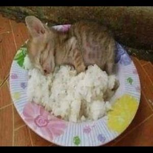 Meet your Posher, Ange-audrey